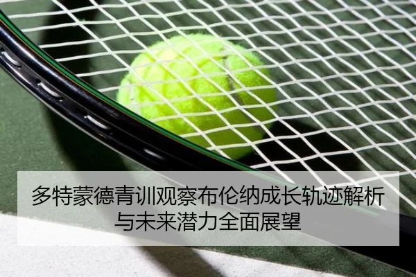多特蒙德青训观察布伦纳成长轨迹解析与未来潜力全面展望
