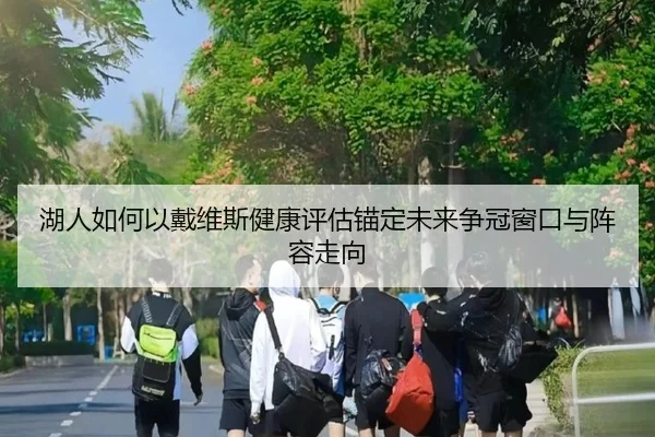 湖人如何以戴维斯健康评估锚定未来争冠窗口与阵容走向