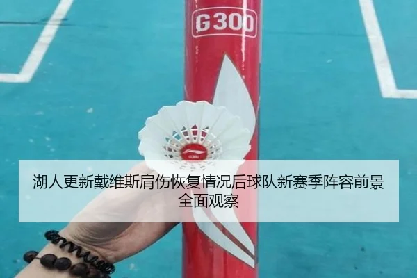 湖人更新戴维斯肩伤恢复情况后球队新赛季阵容前景全面观察