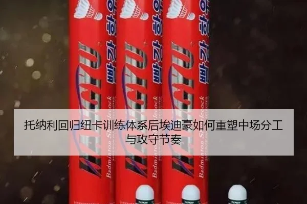 托纳利回归纽卡训练体系后埃迪豪如何重塑中场分工与攻守节奏